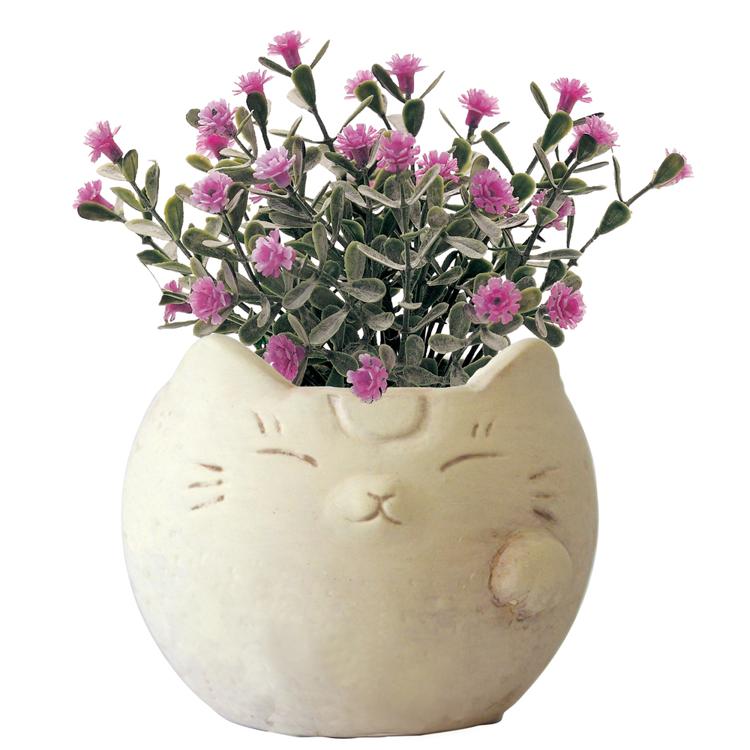 ネコ/デイジーYE