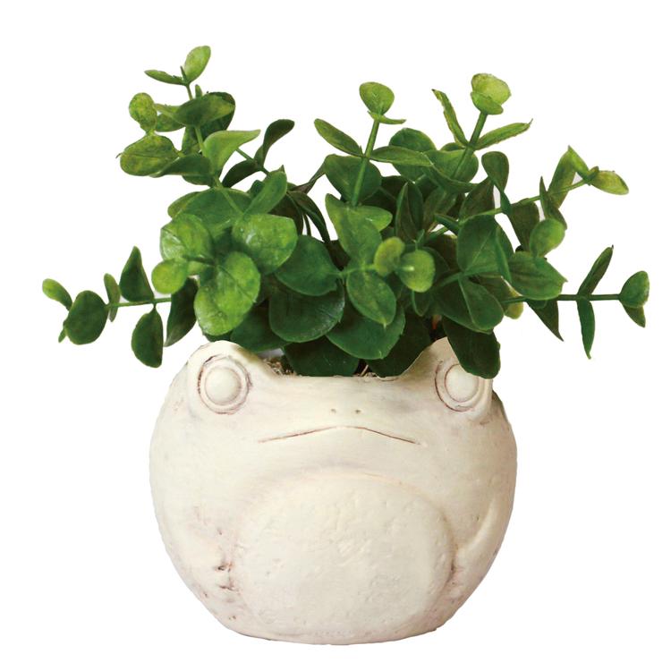 カエル/ユーカリ