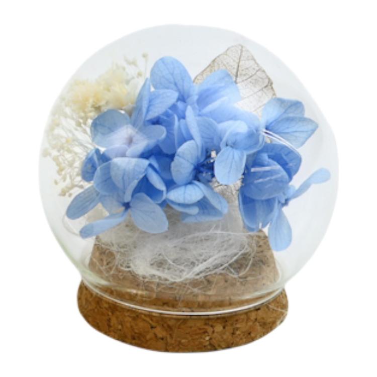 アジサイ.ブルー