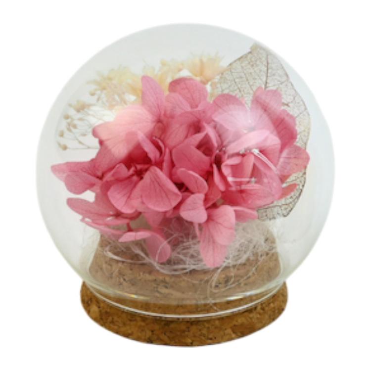 アジサイ.ピンク