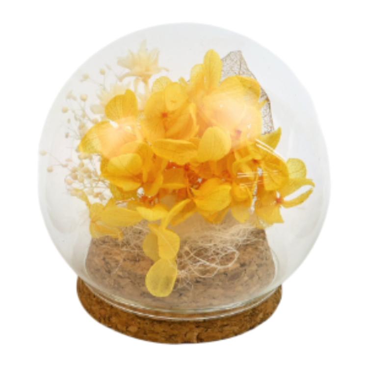 アジサイ.イエロー