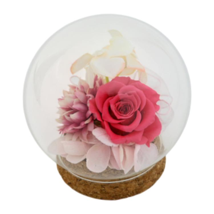 ローズマム.ピンク