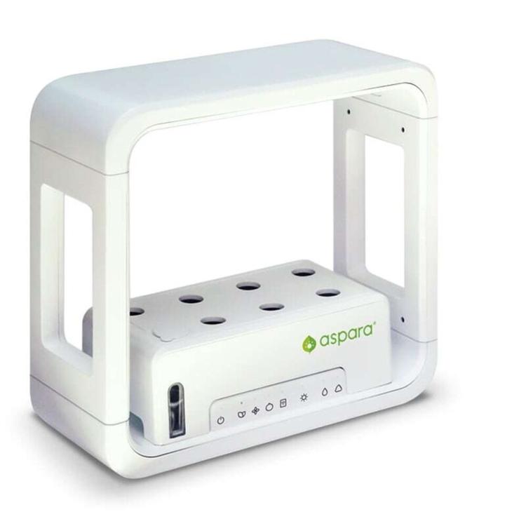 アスパラガーデン