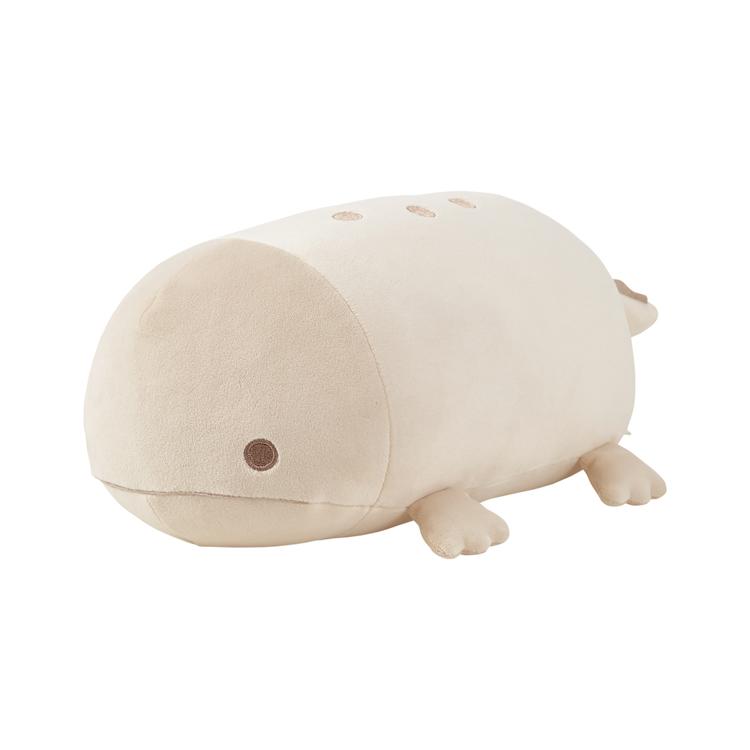 オオサンショウウオ