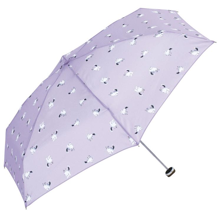 キャッツパープル