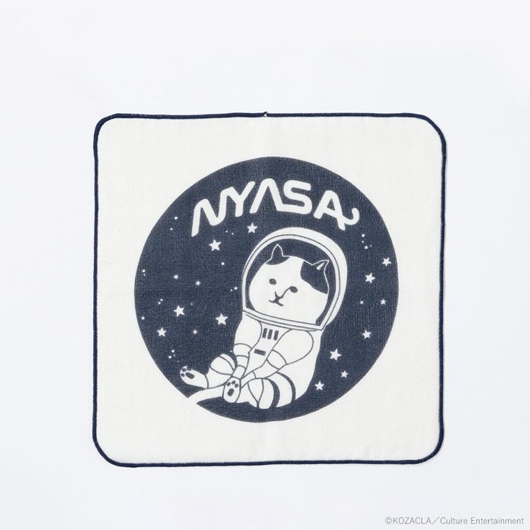 SPACENYASA