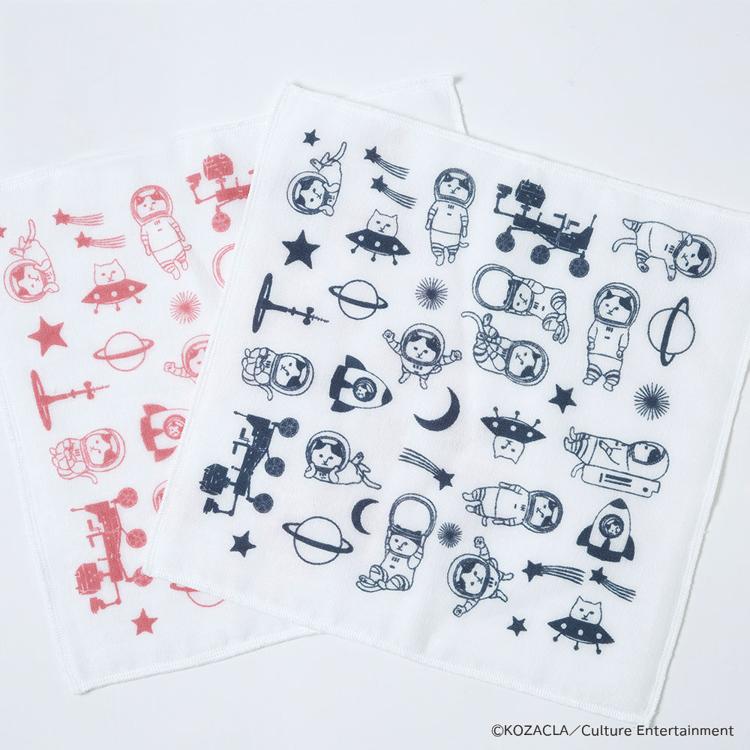 宇宙のいろいろNYASA