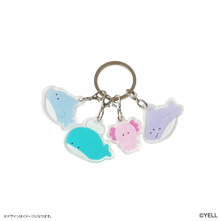 つぶらな瞳の水族館