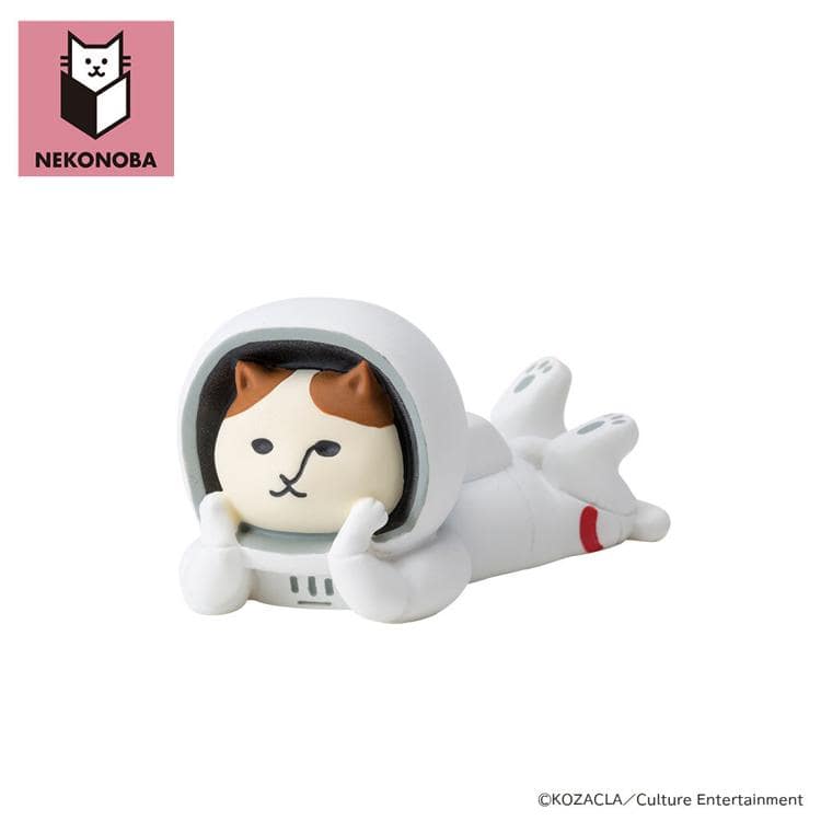 ねっころがりNYASA