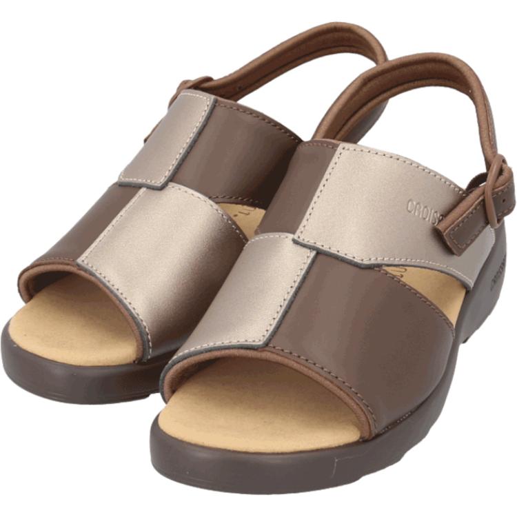 Dブラウンコンビ