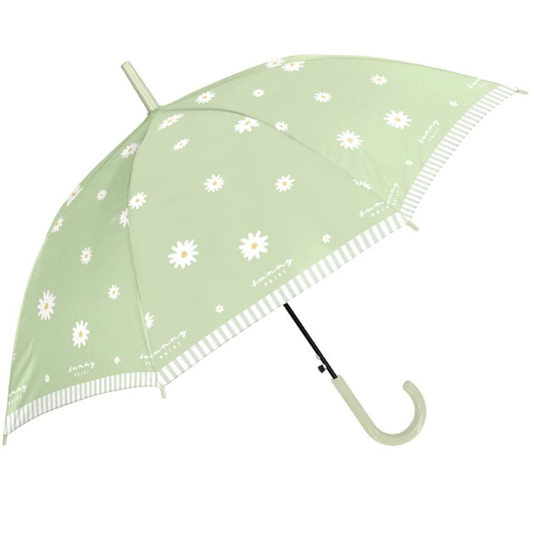 サニーデイジーLGR