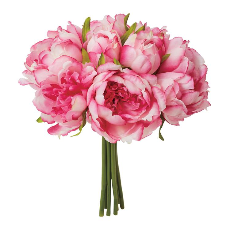 ホワイトビューティー