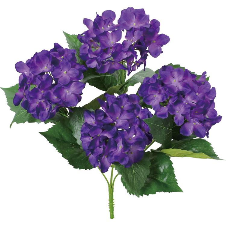 ダークパープル