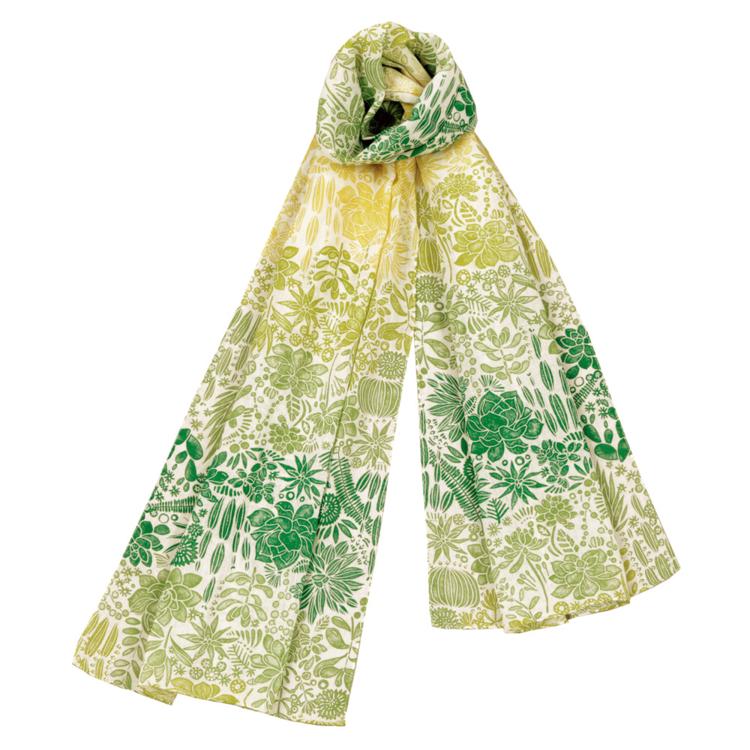 セダム/グリーン