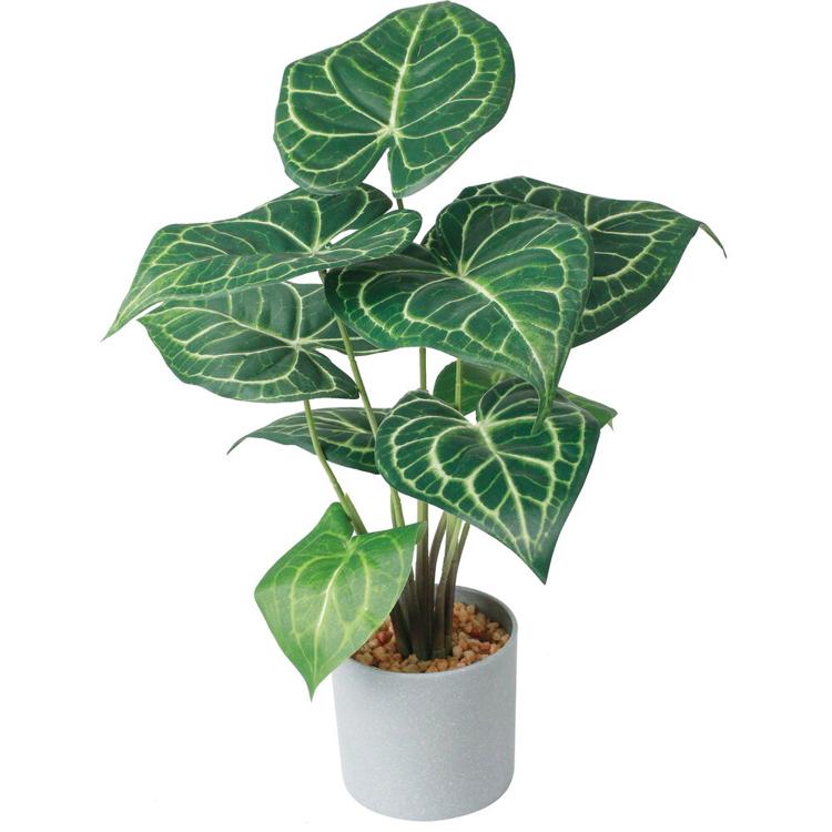 クラリネルビウム