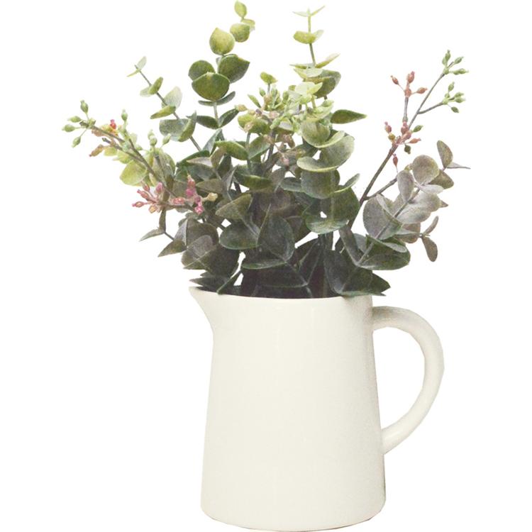 フォールユーカリ