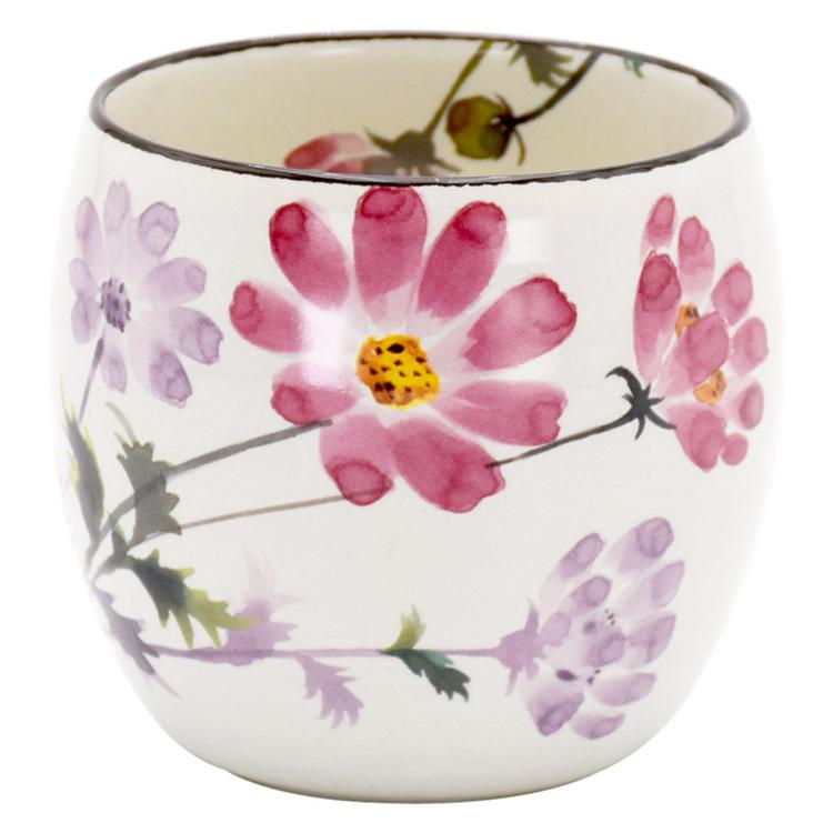 10月花さとコスモス