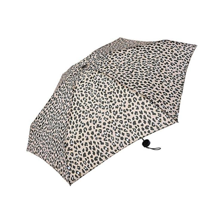 511.カラーレオパード