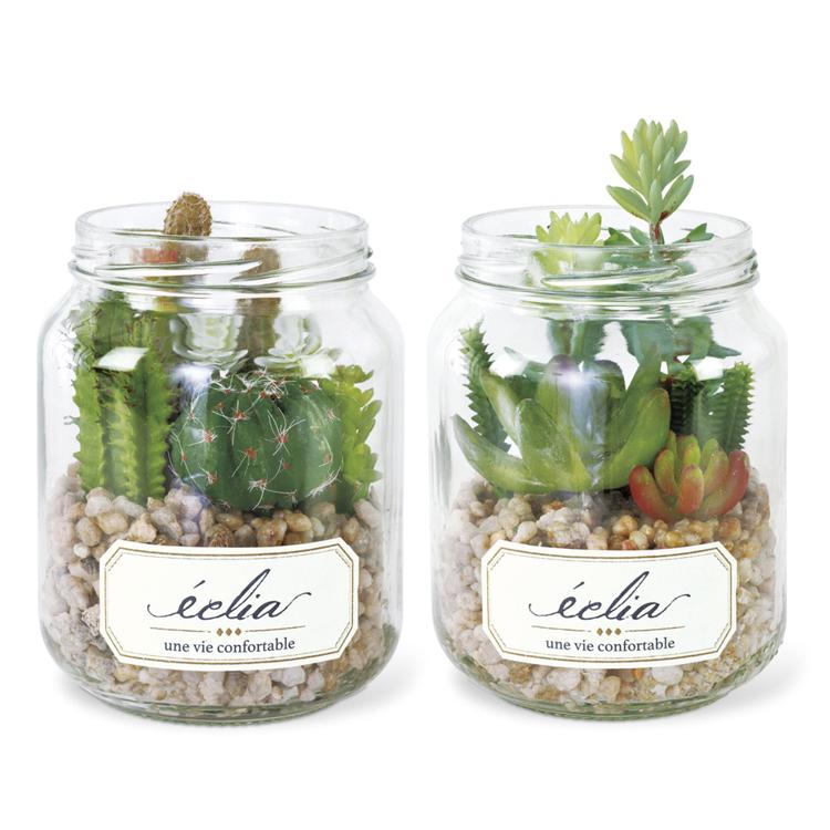 BタイプｘCタイプ