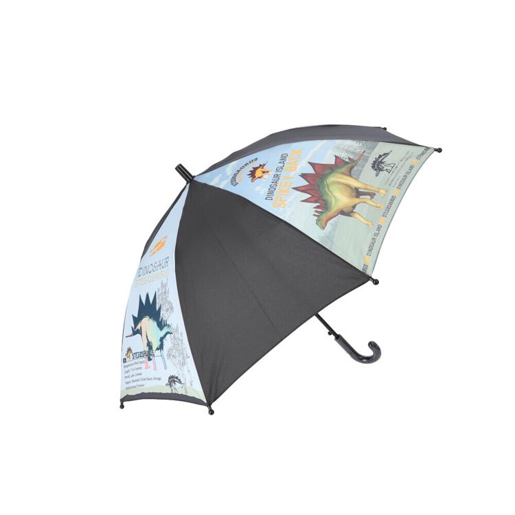 恐竜ステゴザウルス.黒