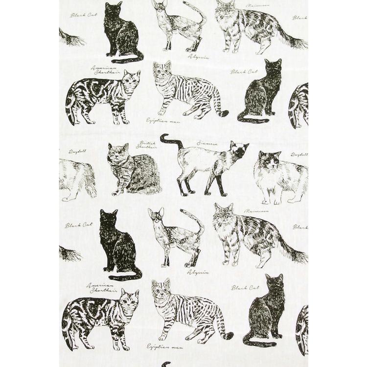 MUCOMOCAキャット