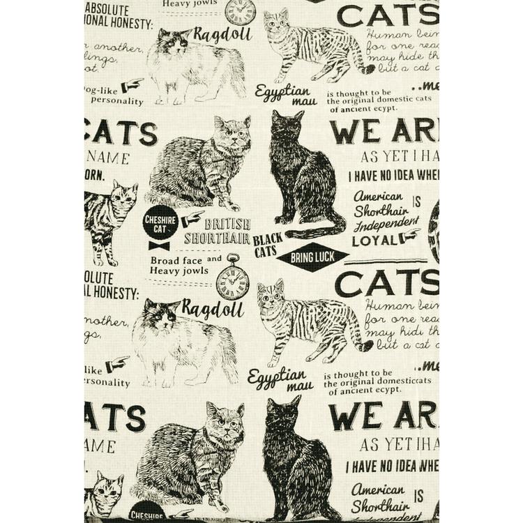 MUCOMOCPCATポスター