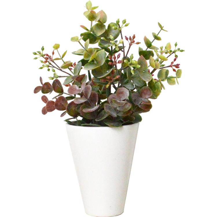 フォールユーカリ.SRポット