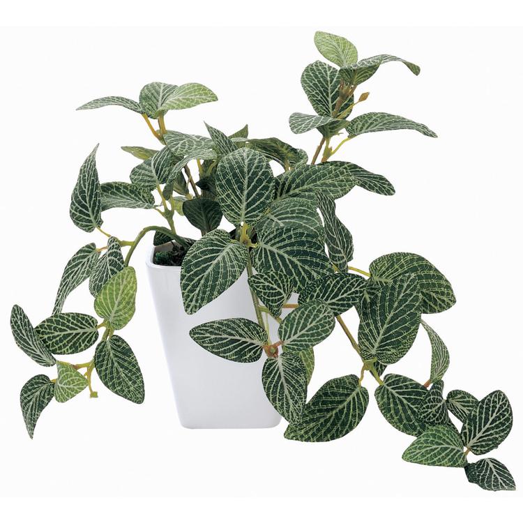 163763.フィットニア