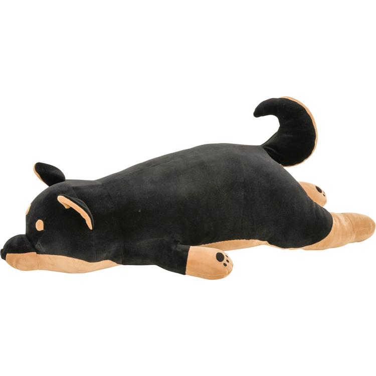 48768.73黒柴のコテツ