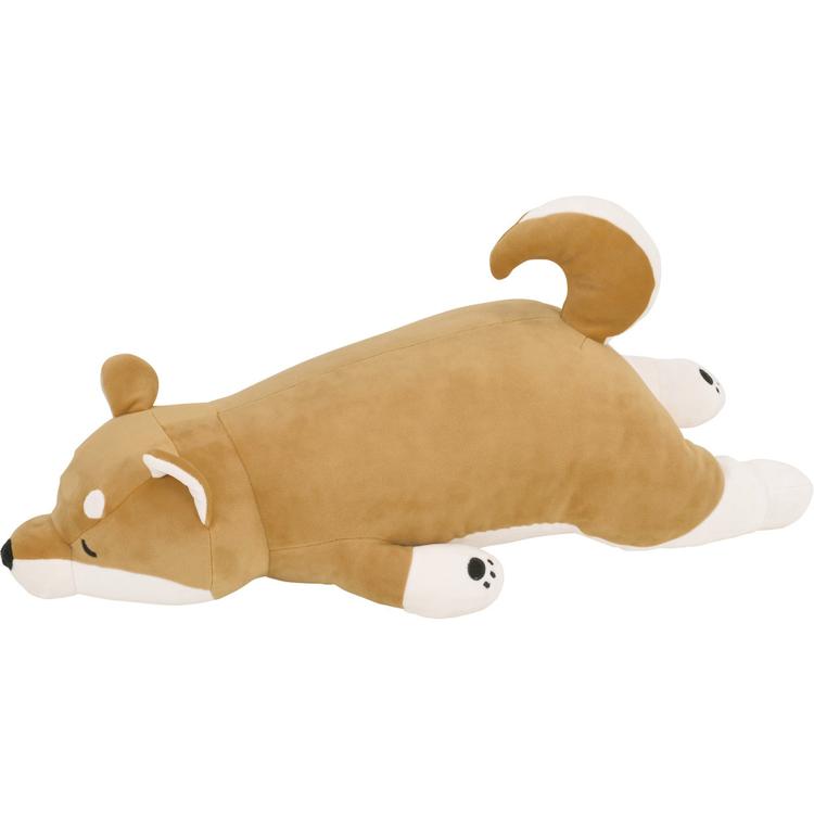 48769.44柴犬のコタロウ