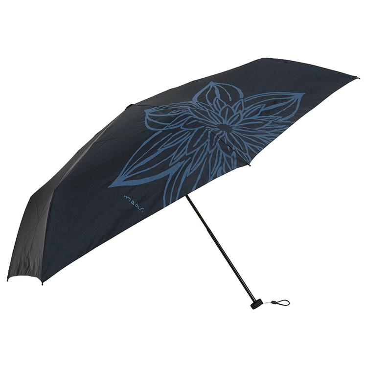 41008.クレマチス