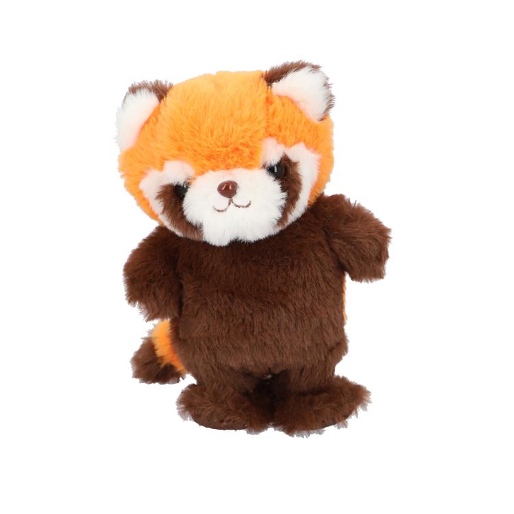 レッサーパンダ