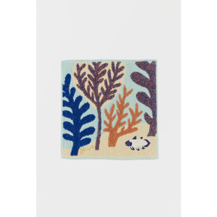 シーラカンスと海の森