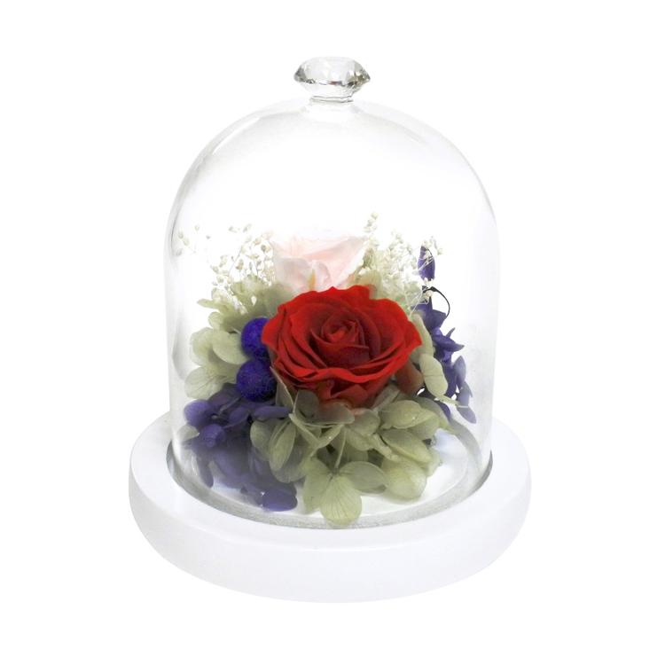 ジュエルレッド