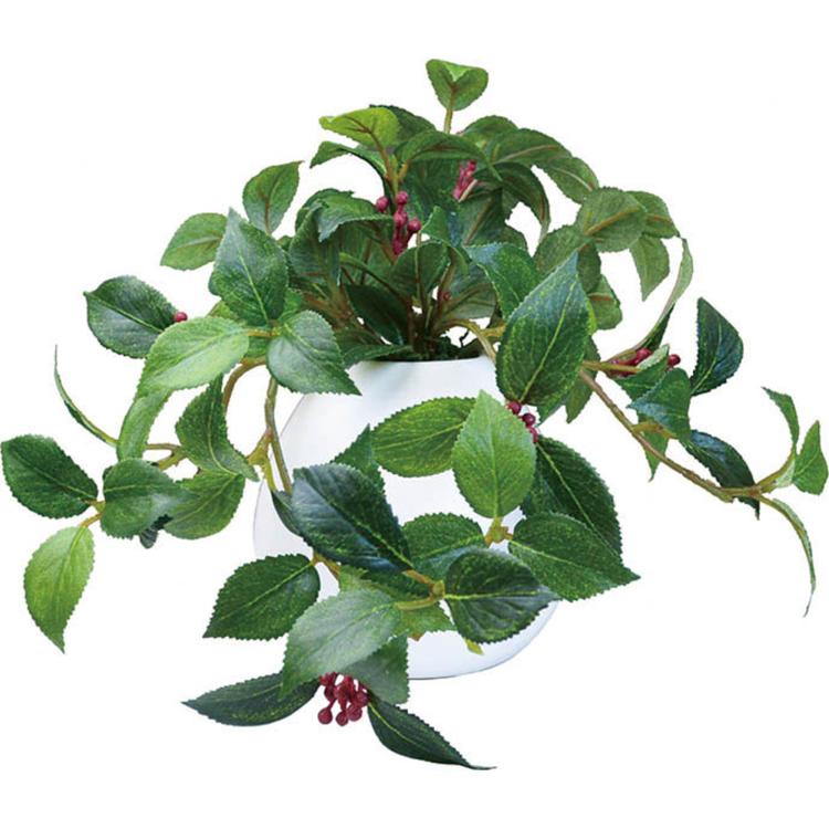 カメリアリーフMR