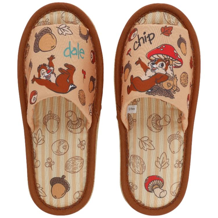 チップ＆デール