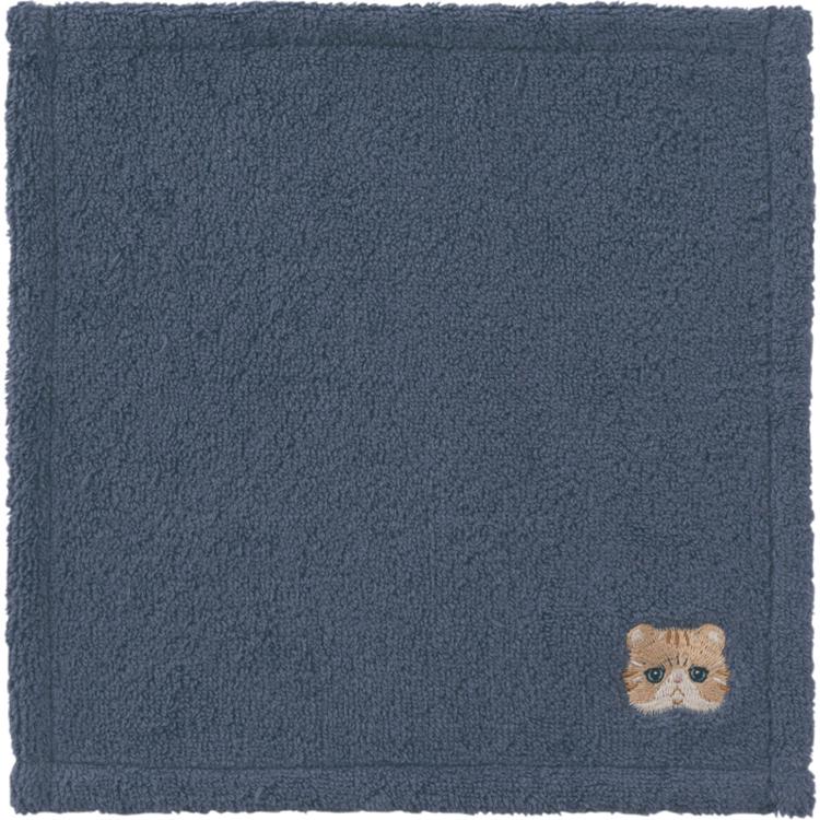 エキゾチックショートヘア