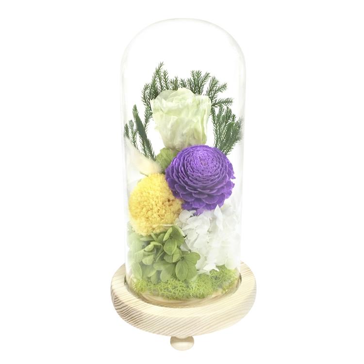 日菜乃/グリーン