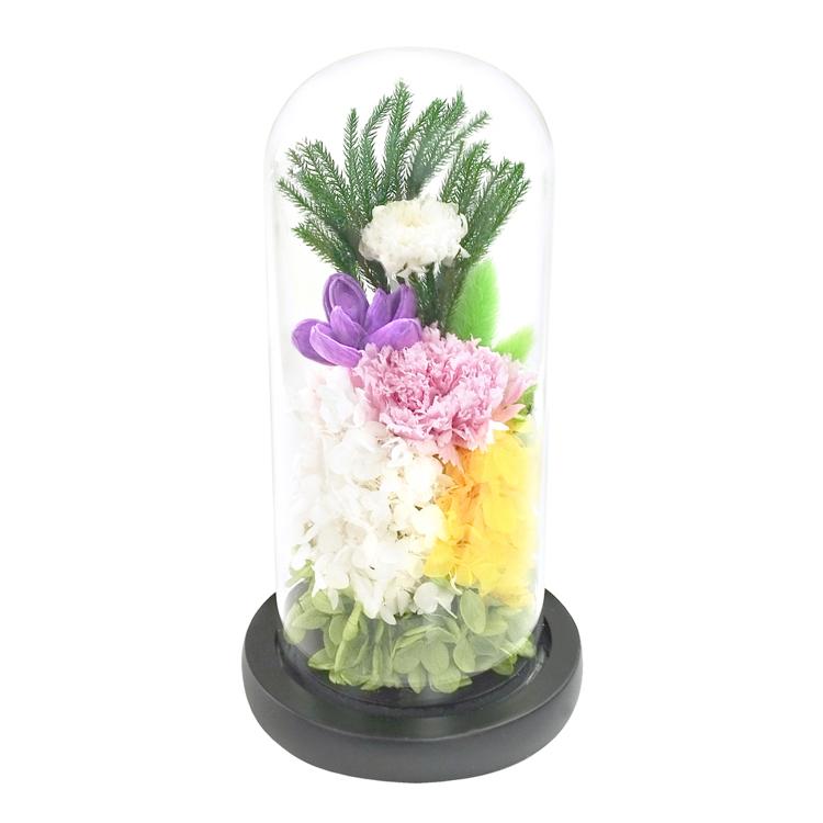 菜々緒/ホワイト