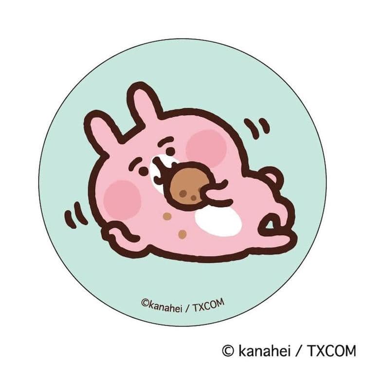 カナヘイの小動物