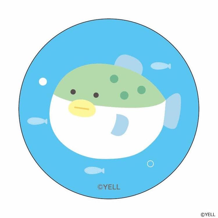 つぶらな瞳の仲間達