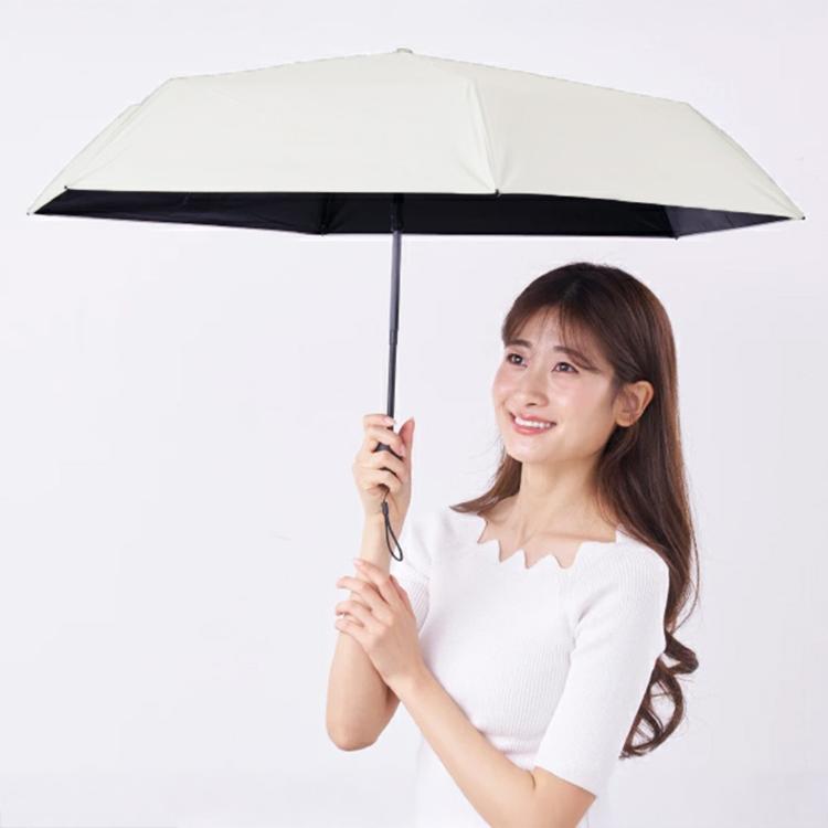 プレーンホワイト