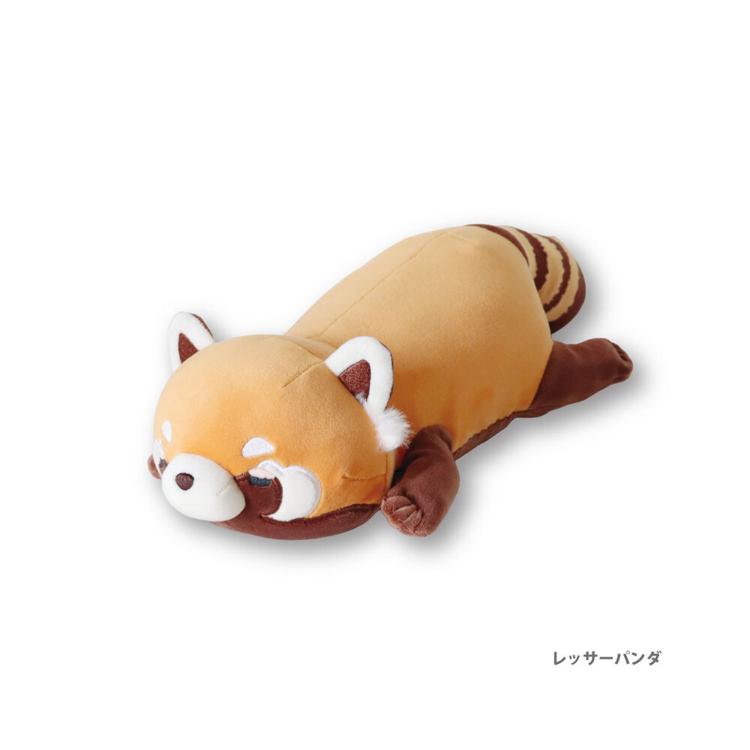 レッサーパンダ