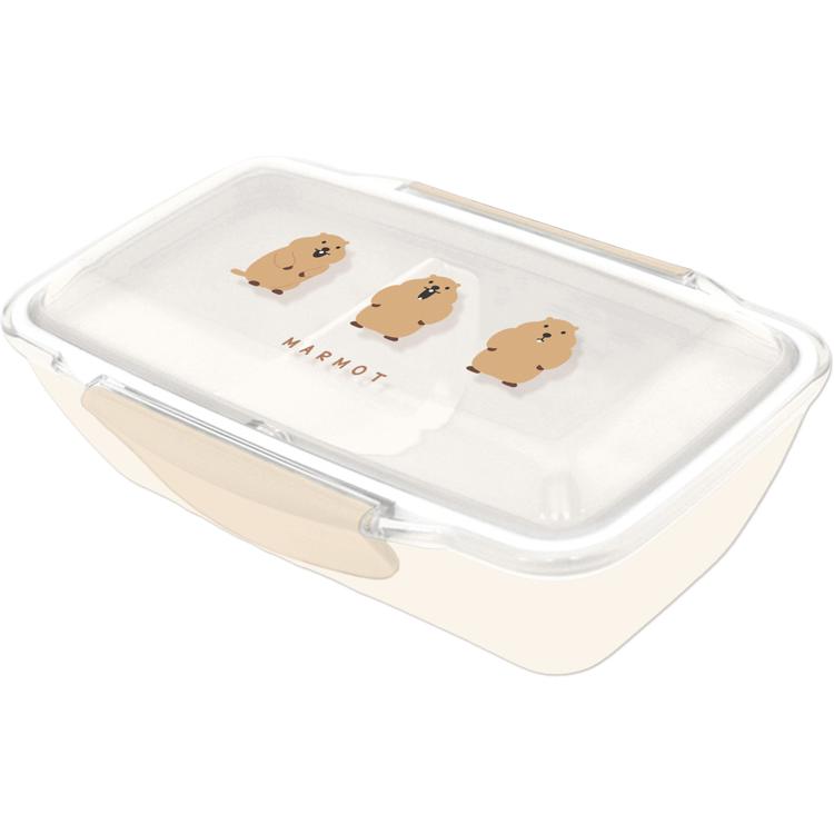 レアアニマルマーモット