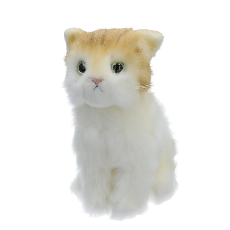 おすわりトラ茶