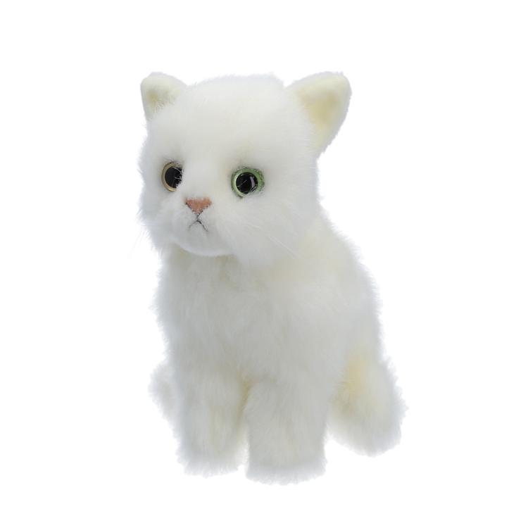 おすわりシロネコオッドアイ