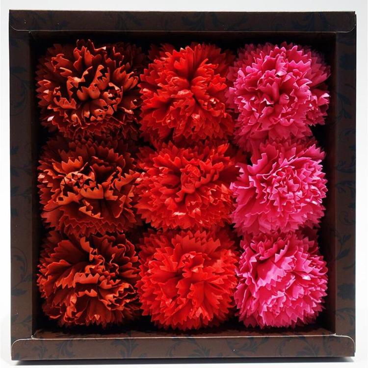 カーネーションレッド