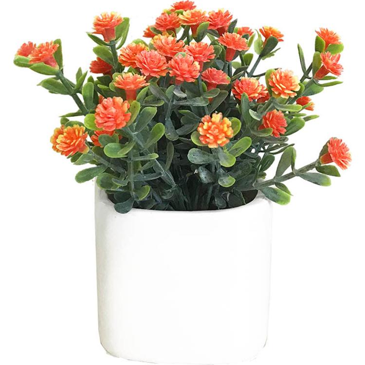 キューブ.デイジーOR