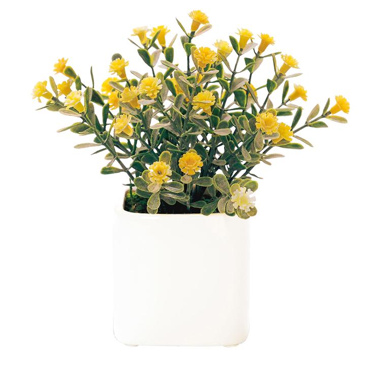 キューブ.デイジーYE