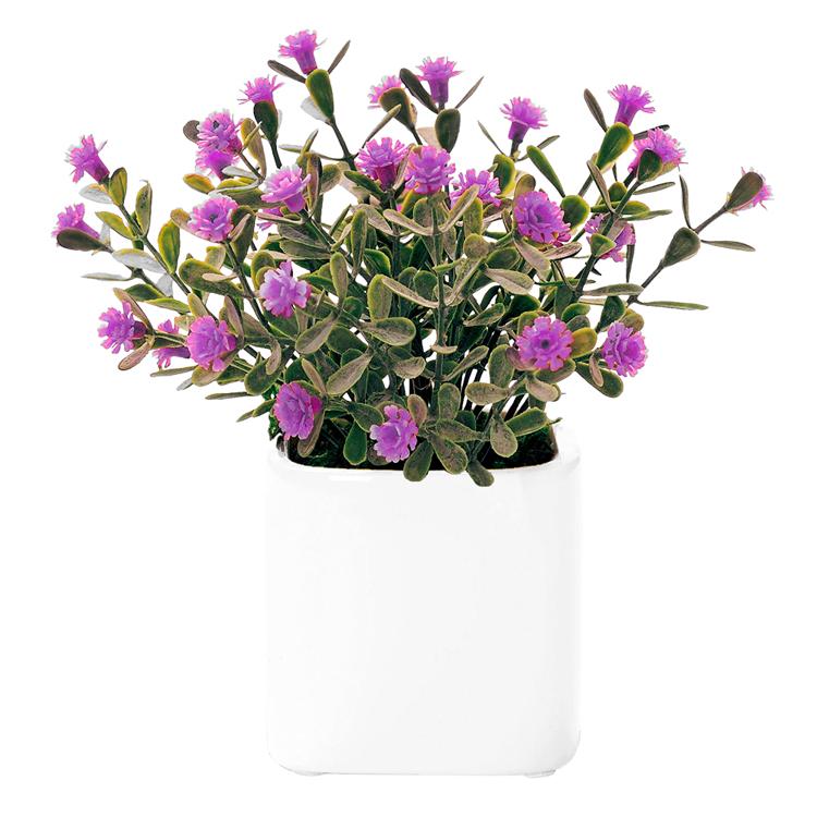 キューブ.デイジーPA